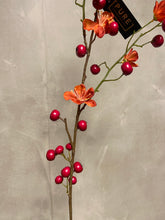 Afbeelding in Gallery-weergave laden, Apple berry blossom 110cm Beauty
