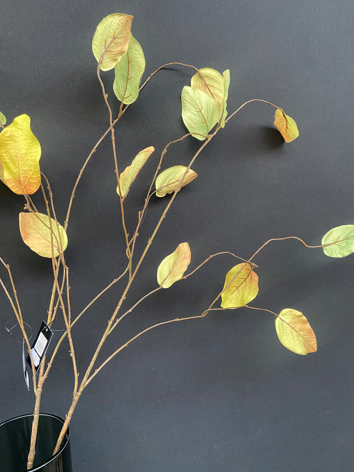 WEEPING BEECH LEAF SPRAY 98CM GREEN