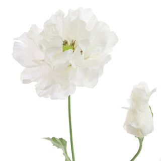 PAPAVER 75CM CREME
