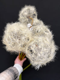 Dandelion XXL- paardebloem zijden