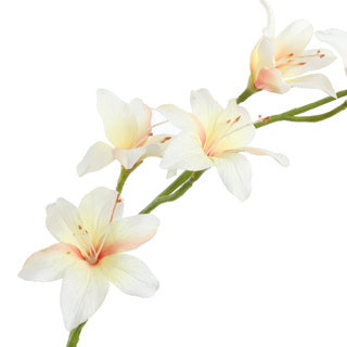 ZWAARDLELIE 95CM CREME