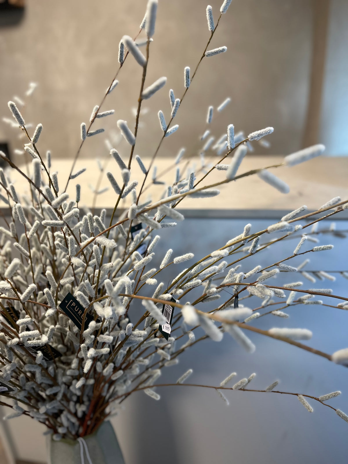 LARGE PUSSY WILLOW 122CM GREY