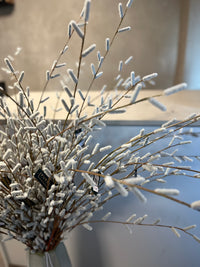 LARGE PUSSY WILLOW 122CM GREY