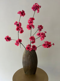 Kanzan blossom old pink