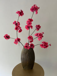 Kanzan blossom old pink