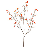 ROSEHIP SPRAY 105CM ORANGE