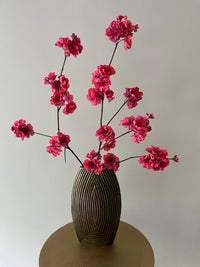 Kanzan blossom old pink