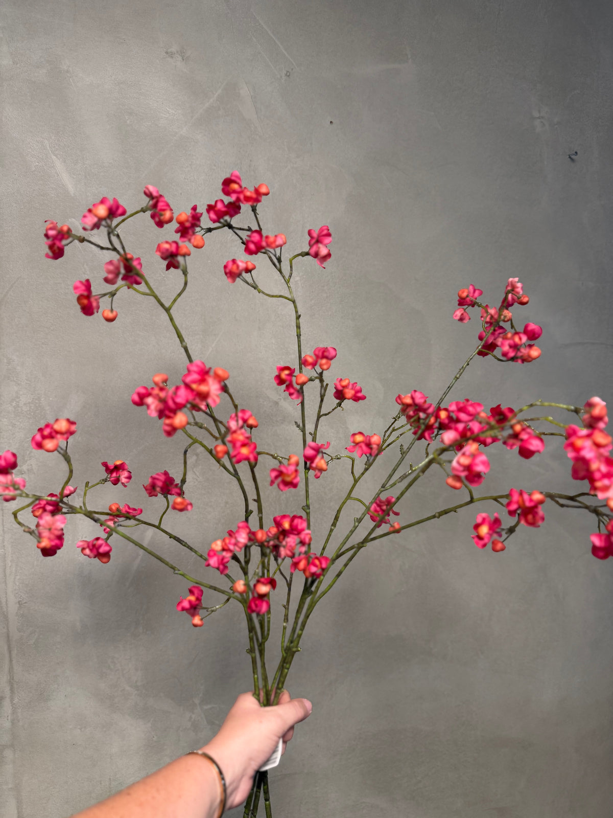 Bittersweet Pink 92cm