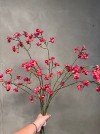 Bittersweet Pink 92cm