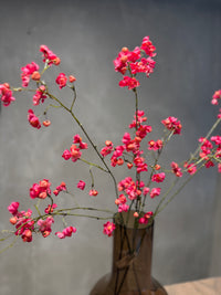 Bittersweet Pink 92cm