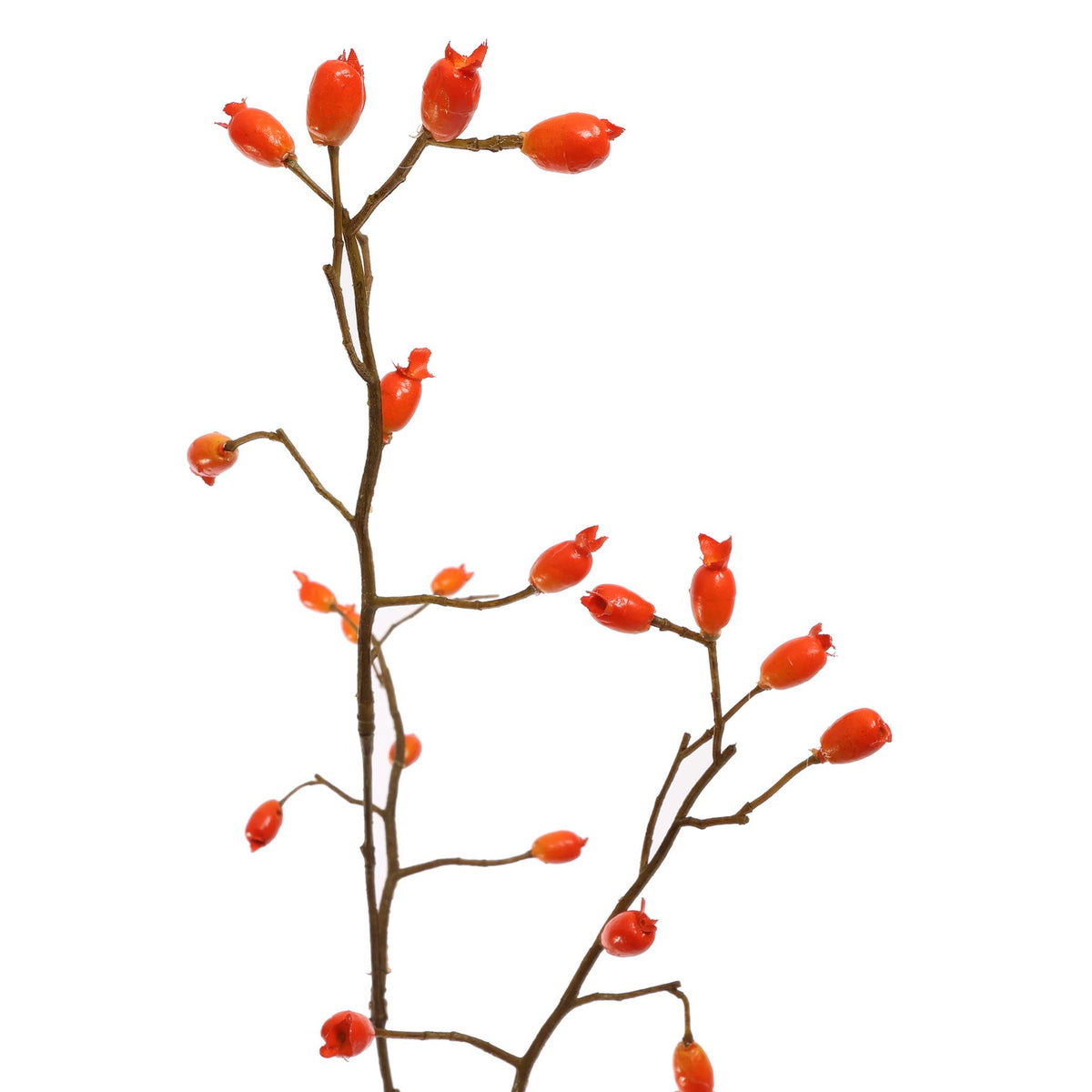 ROSEHIP SPRAY 105CM ORANGE