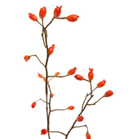 ROSEHIP SPRAY 105CM ORANGE