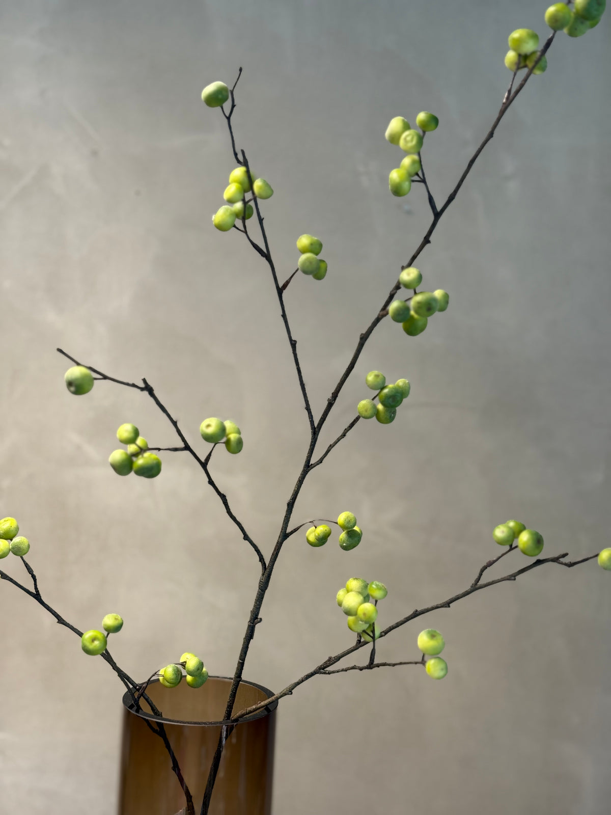 Rosehip Spray green 118cm