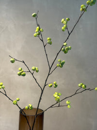 Rosehip Spray green 118cm