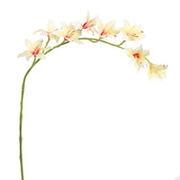 ZWAARDLELIE 95CM CREME