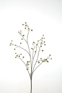 Rosehip Spray green 118cm