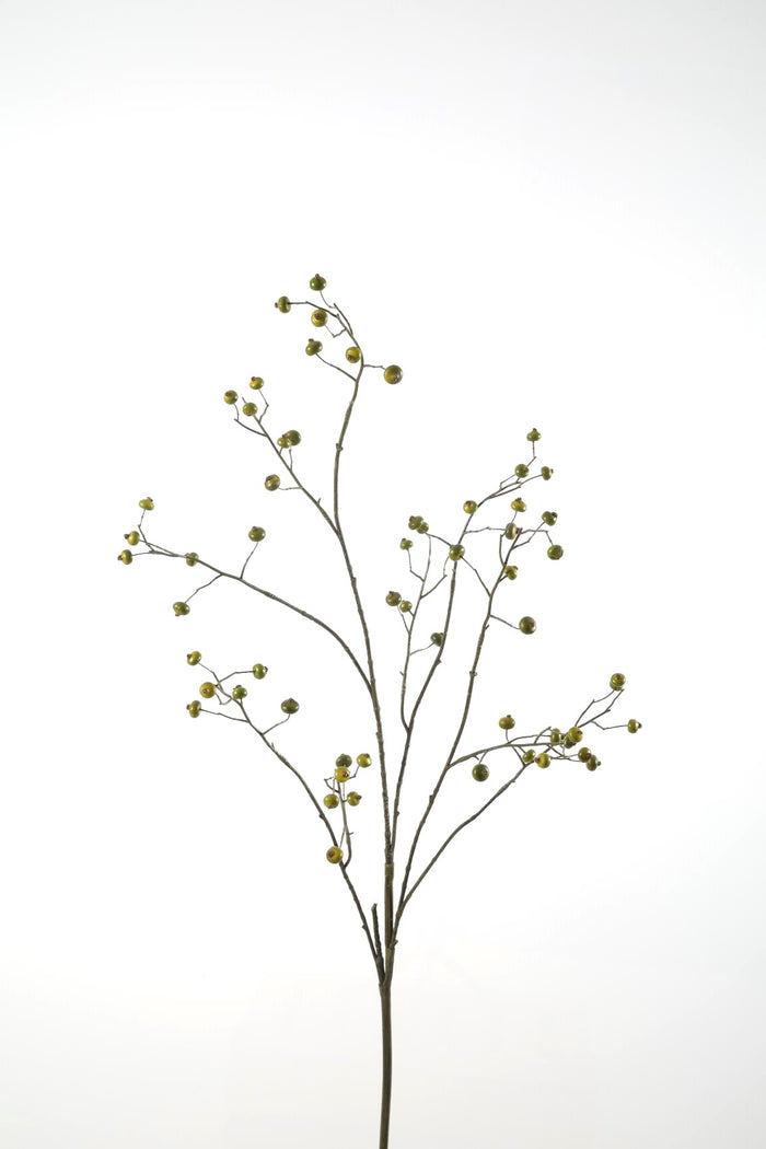 Rosehip Spray green 118cm