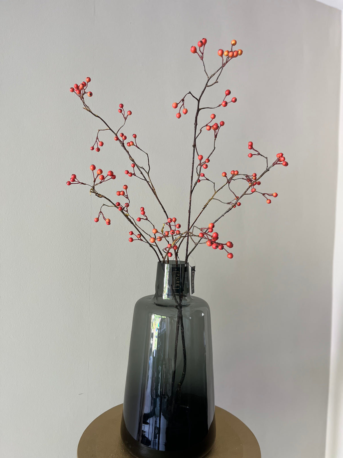 Zijdentak rozenbottel bes