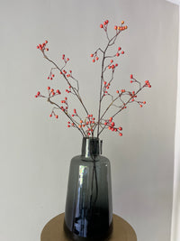 Zijdentak rozenbottel bes