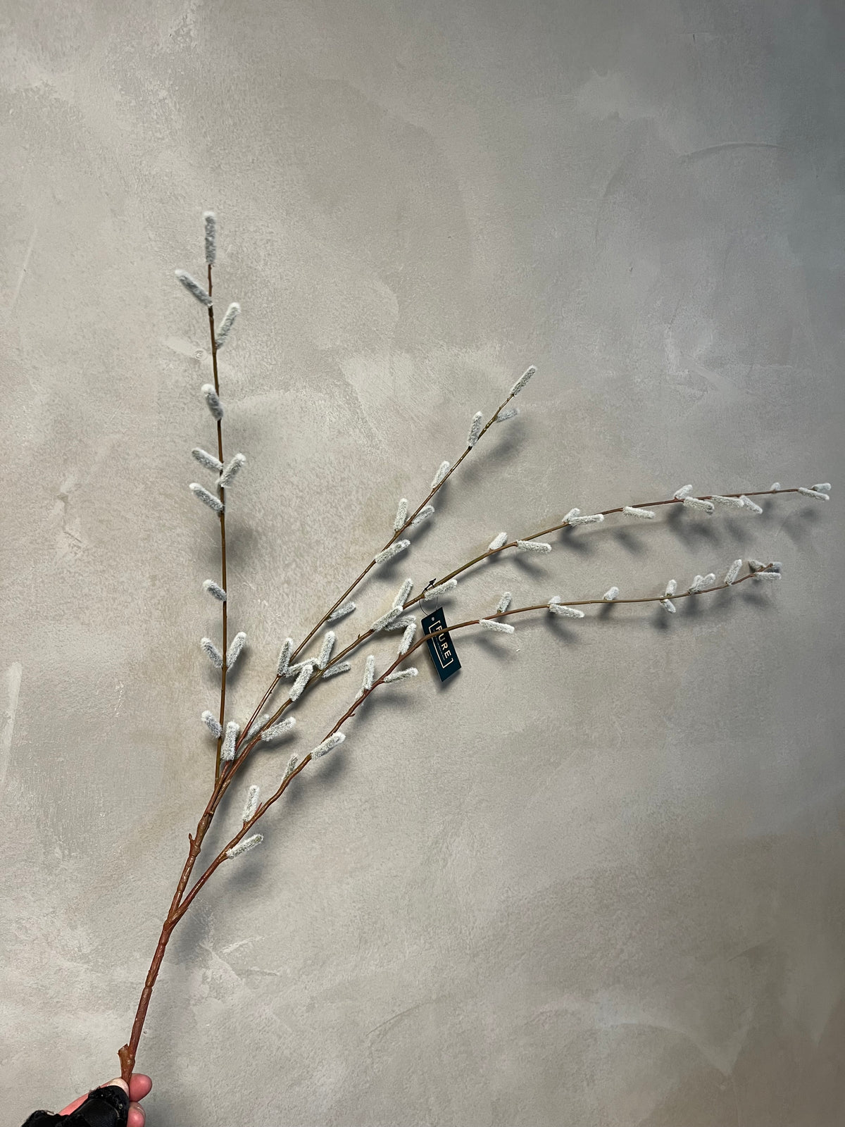 LARGE PUSSY WILLOW 122CM GREY