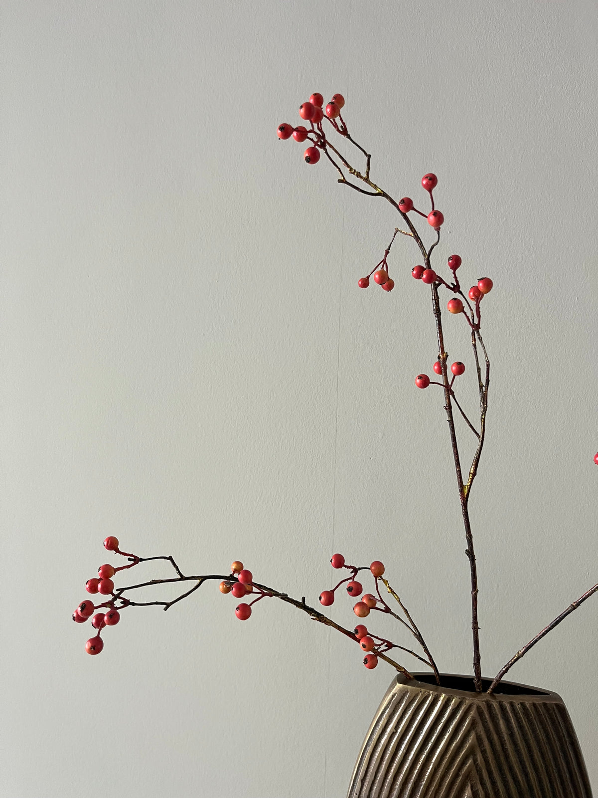 Zijdentak rozenbottel bes