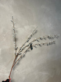 LARGE PUSSY WILLOW 122CM GREY