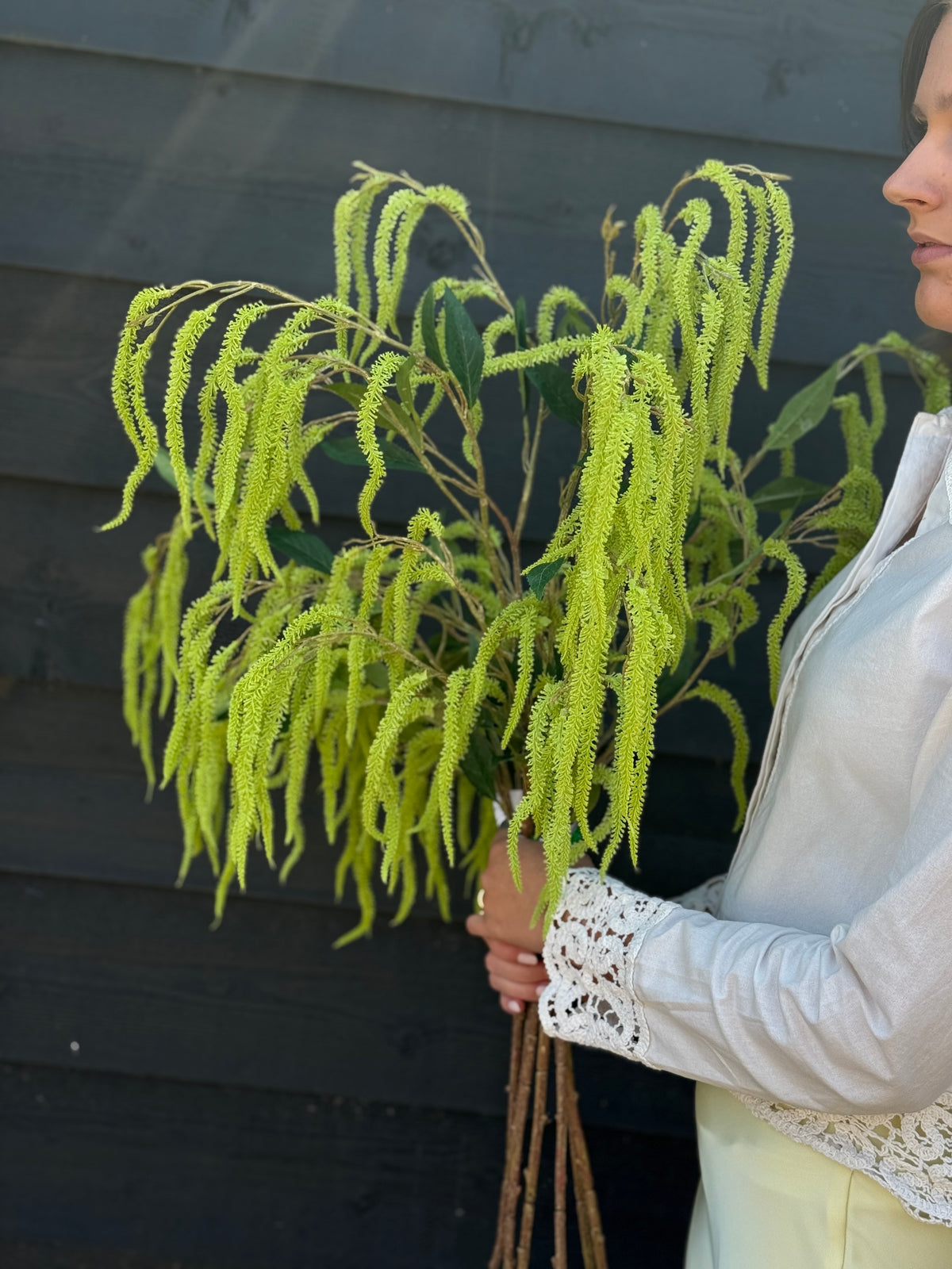 Amaranthus takken