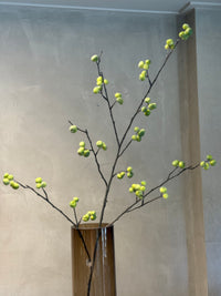 Rosehip Spray green 118cm