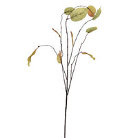 WEEPING BEECH LEAF SPRAY 98CM GREEN