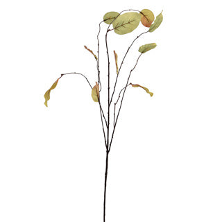 WEEPING BEECH LEAF SPRAY 98CM GREEN