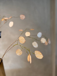 LARGE SILVER DOLLAR 110CM BEIGE