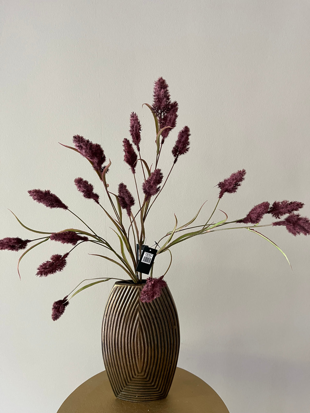 Soldiago spray purple