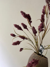 Soldiago spray purple