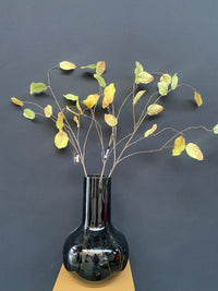 WEEPING BEECH LEAF SPRAY 98CM GREEN