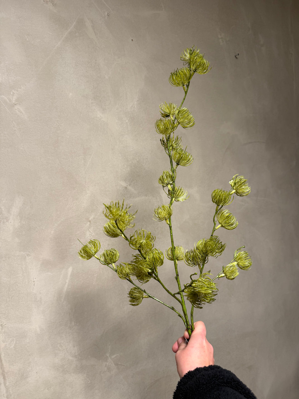 Kunstknop Clematis groen-L10B10H96CM