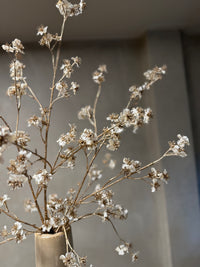 Zijdentak crème/gold