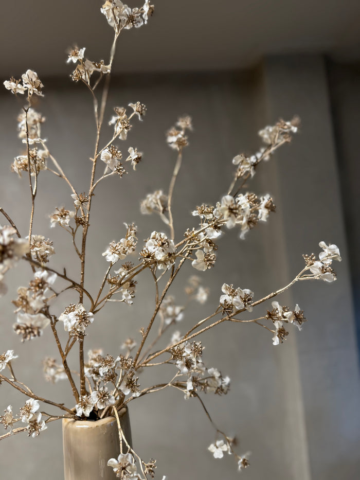 Zijdentak crème/gold