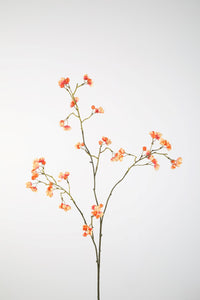 Bittersweet Pink 92cm