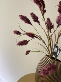 Soldiago spray purple