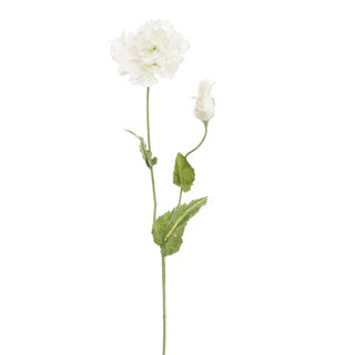 PAPAVER 75CM CREME