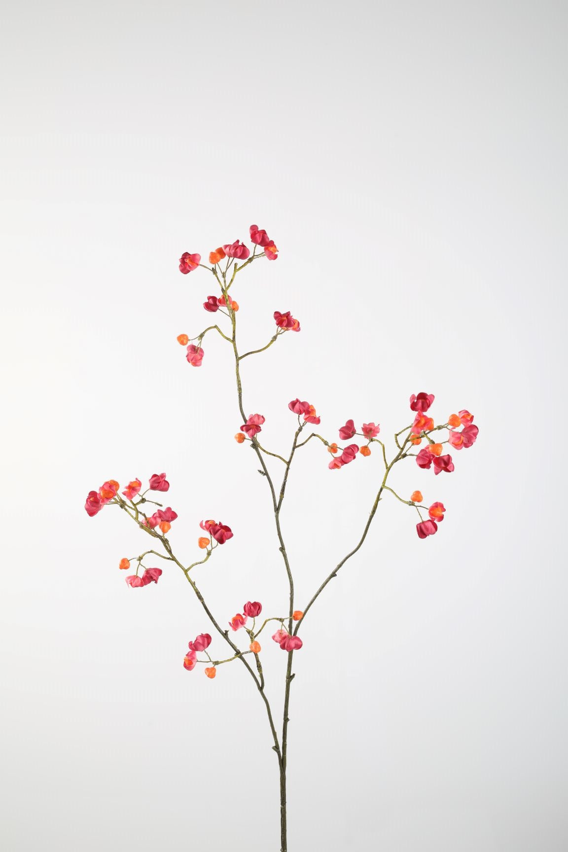 Bittersweet Pink 92cm