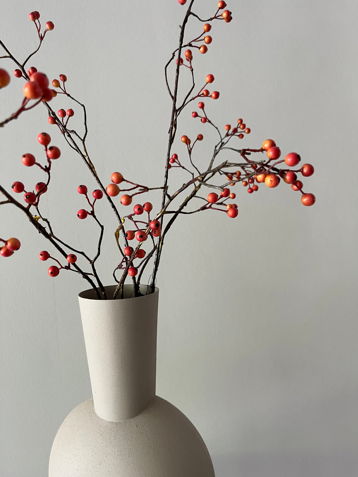 Zijdentak rozenbottel bes