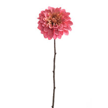 Afbeelding in Gallery-weergave laden, Single dahlia beauty
