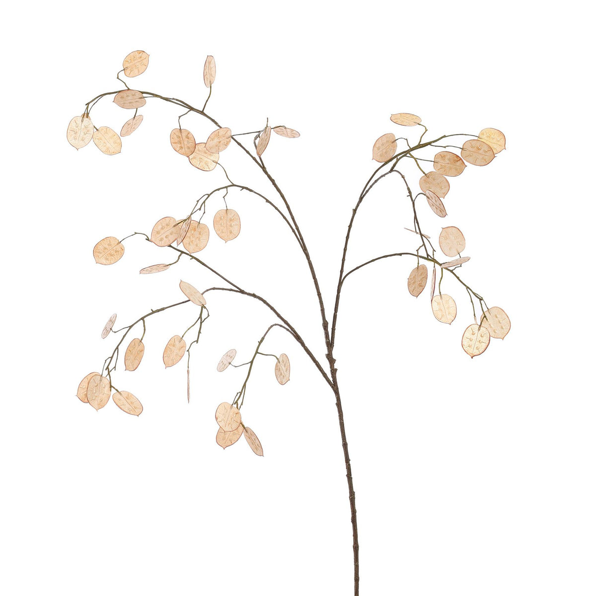 LARGE SILVER DOLLAR 110CM BEIGE