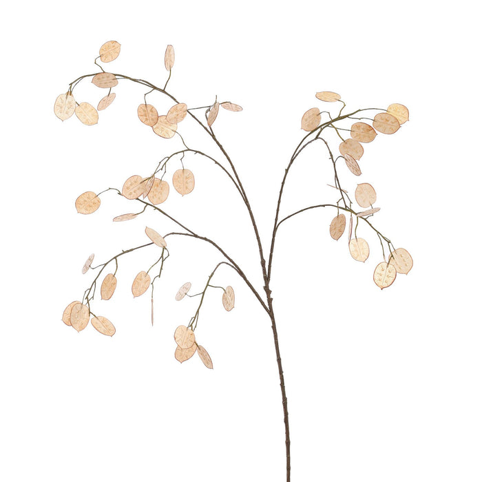 LARGE SILVER DOLLAR 110CM BEIGE