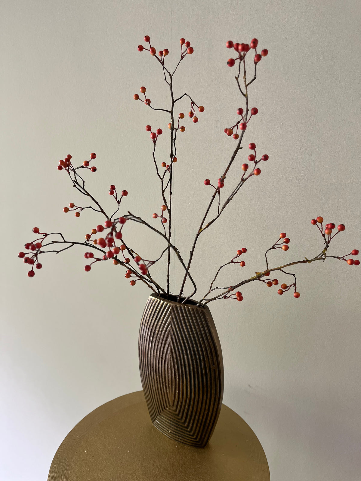 Zijdentak rozenbottel bes