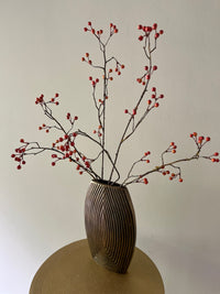 Zijdentak rozenbottel bes