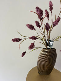 Soldiago spray purple