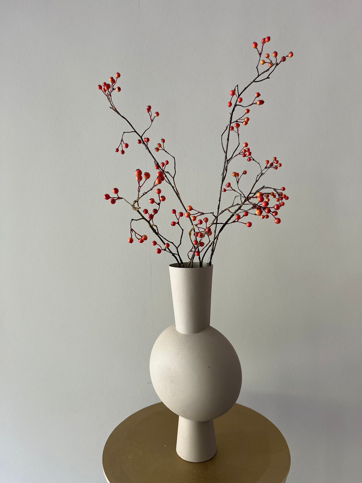 Zijdentak rozenbottel bes