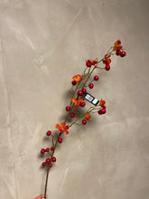 Afbeelding in Gallery-weergave laden, Apple berry blossom 110cm Beauty
